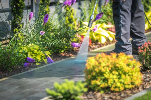 Best Winterizing Services  in Jurupa Valley, CA